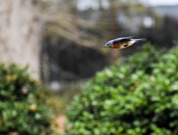 perfectlytimed2_015