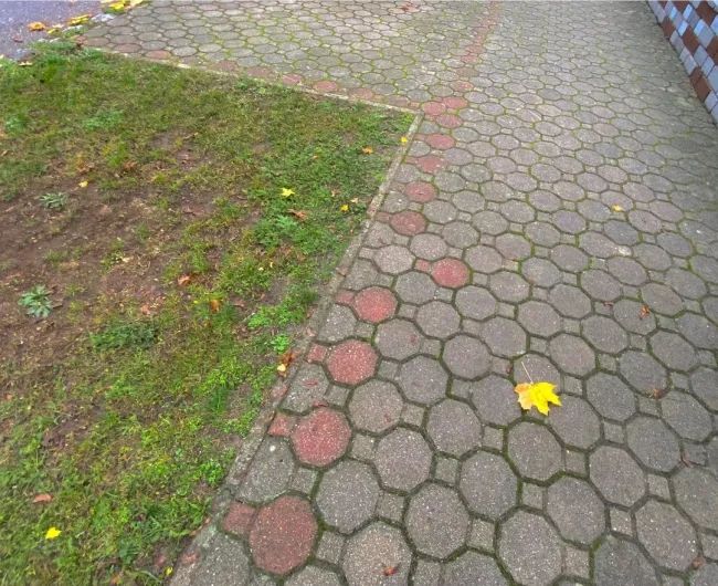 perfectphotos212_006