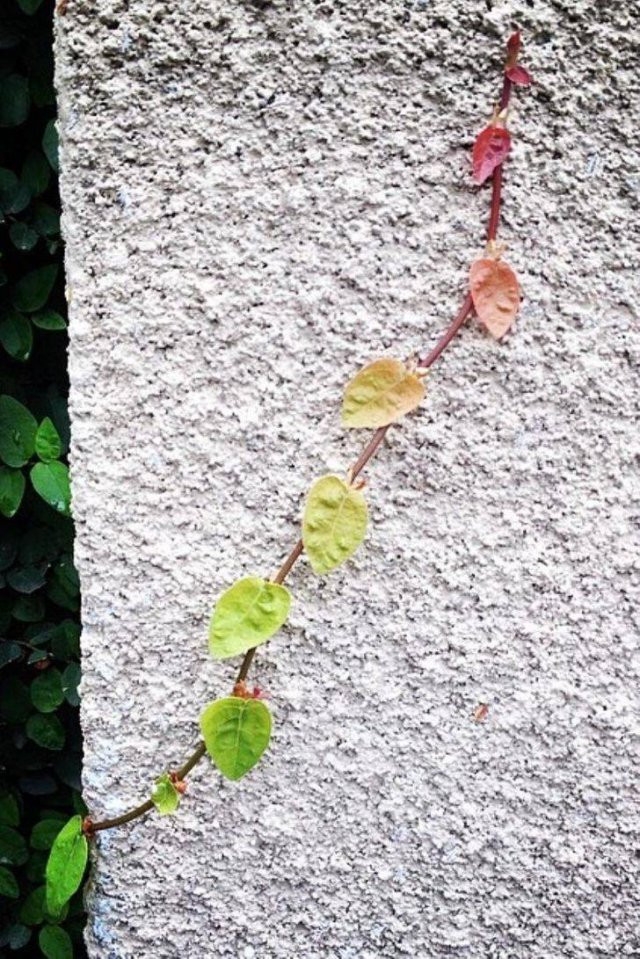 perfectphotos227_013