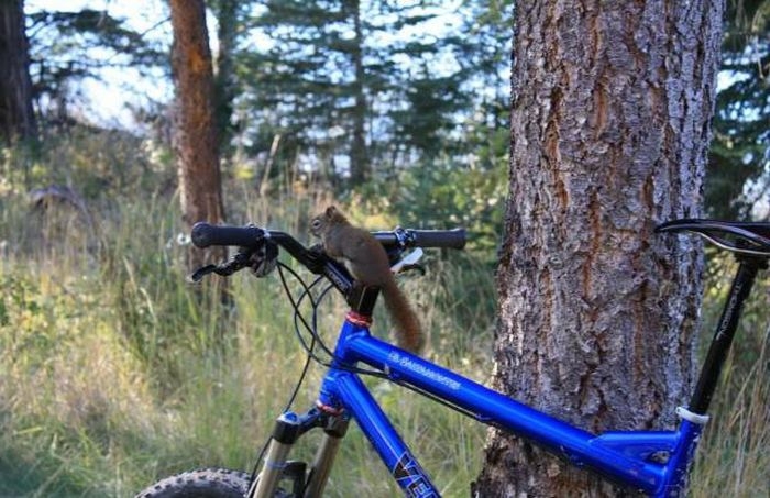 randompics2058_074