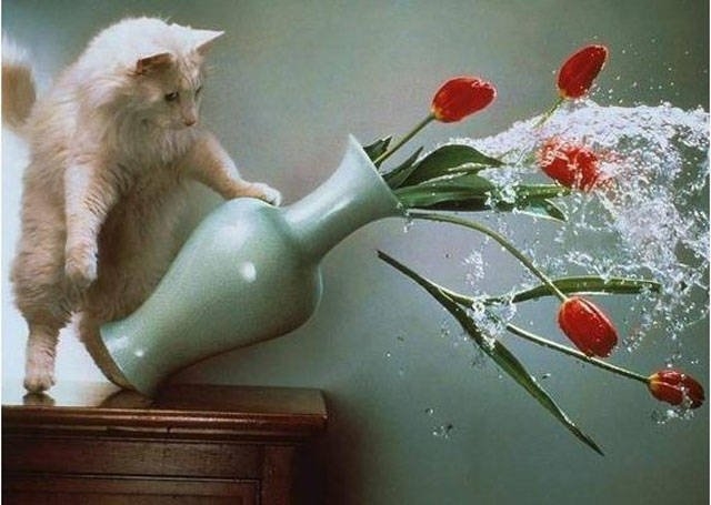 randompics2059_015