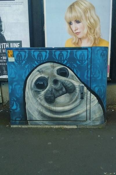 randompics2061_010
