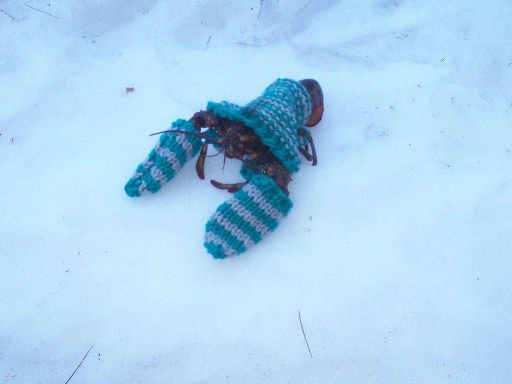 randompics2063_003