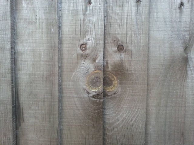 randompics2067_079