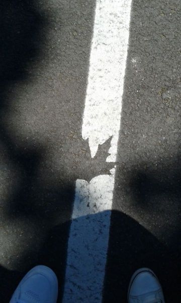 randompics2069_061