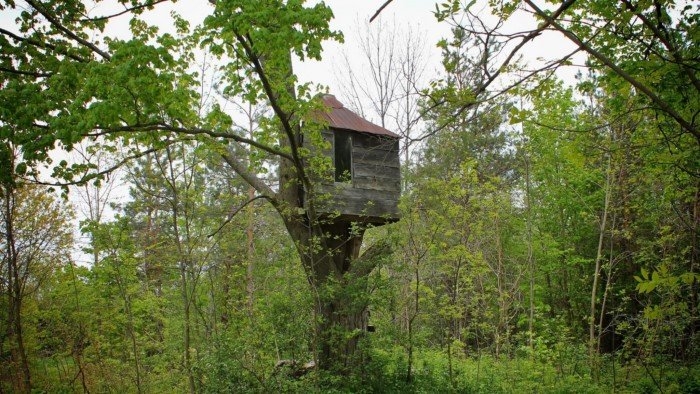 randompics2070_001
