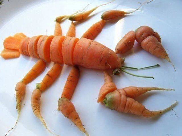 randompics2071_064