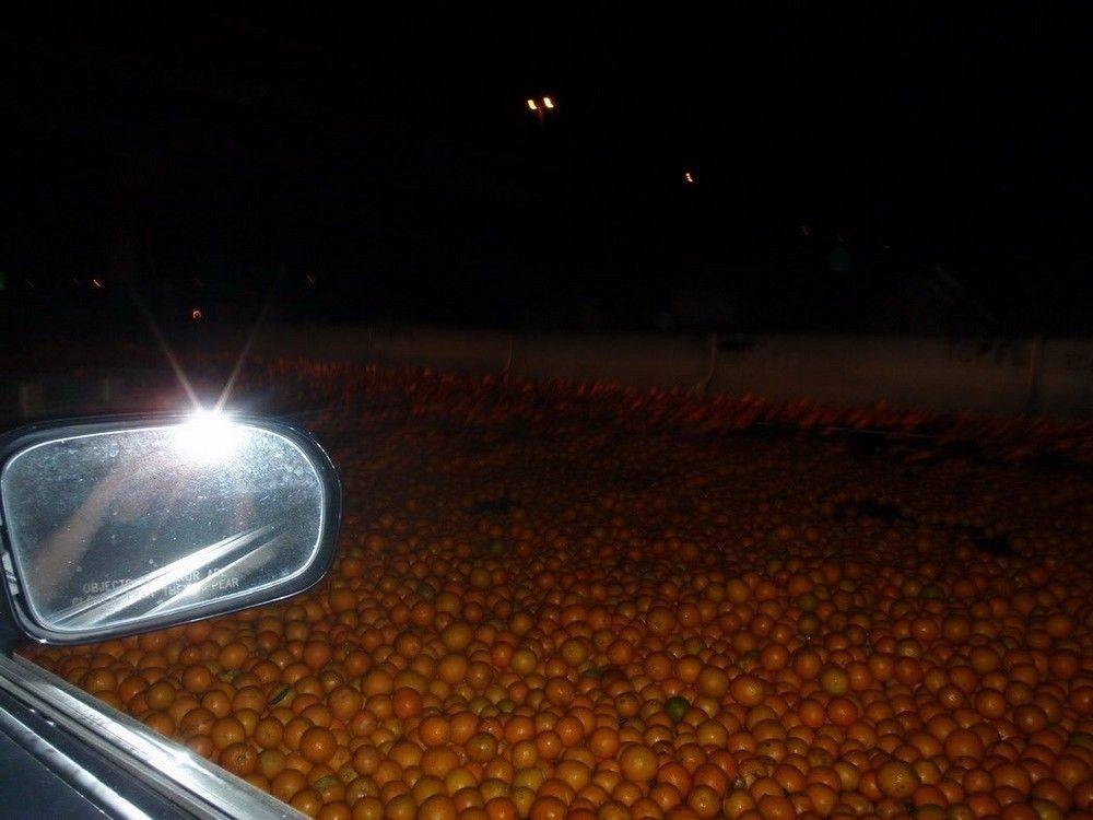 randompics2075_068 randompics2075_068