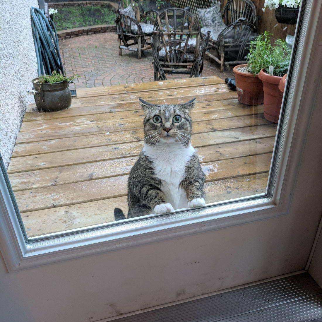 randompics2078_027 randompics2078_027