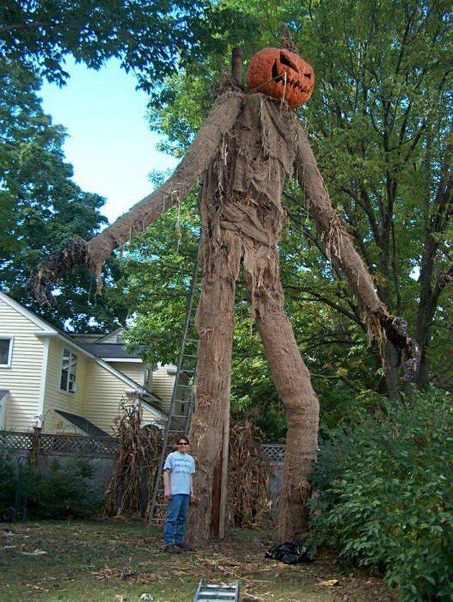 randompics2079_069