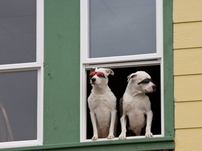 randompics2079_076