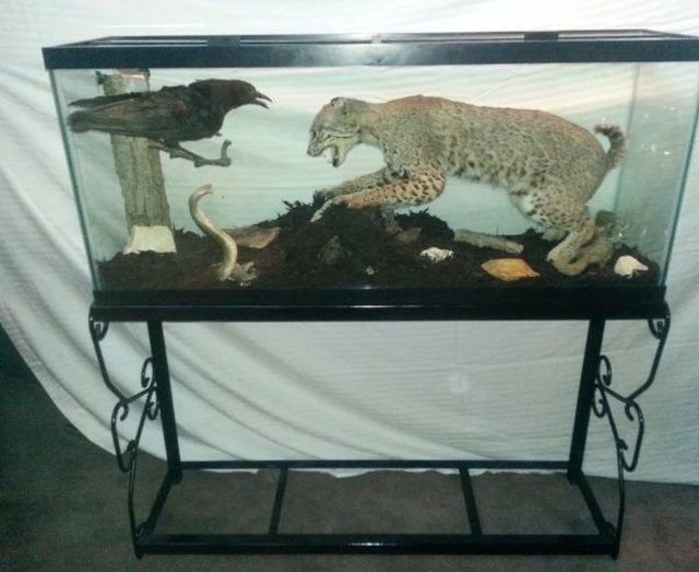 randompics2084_053 randompics2084_053