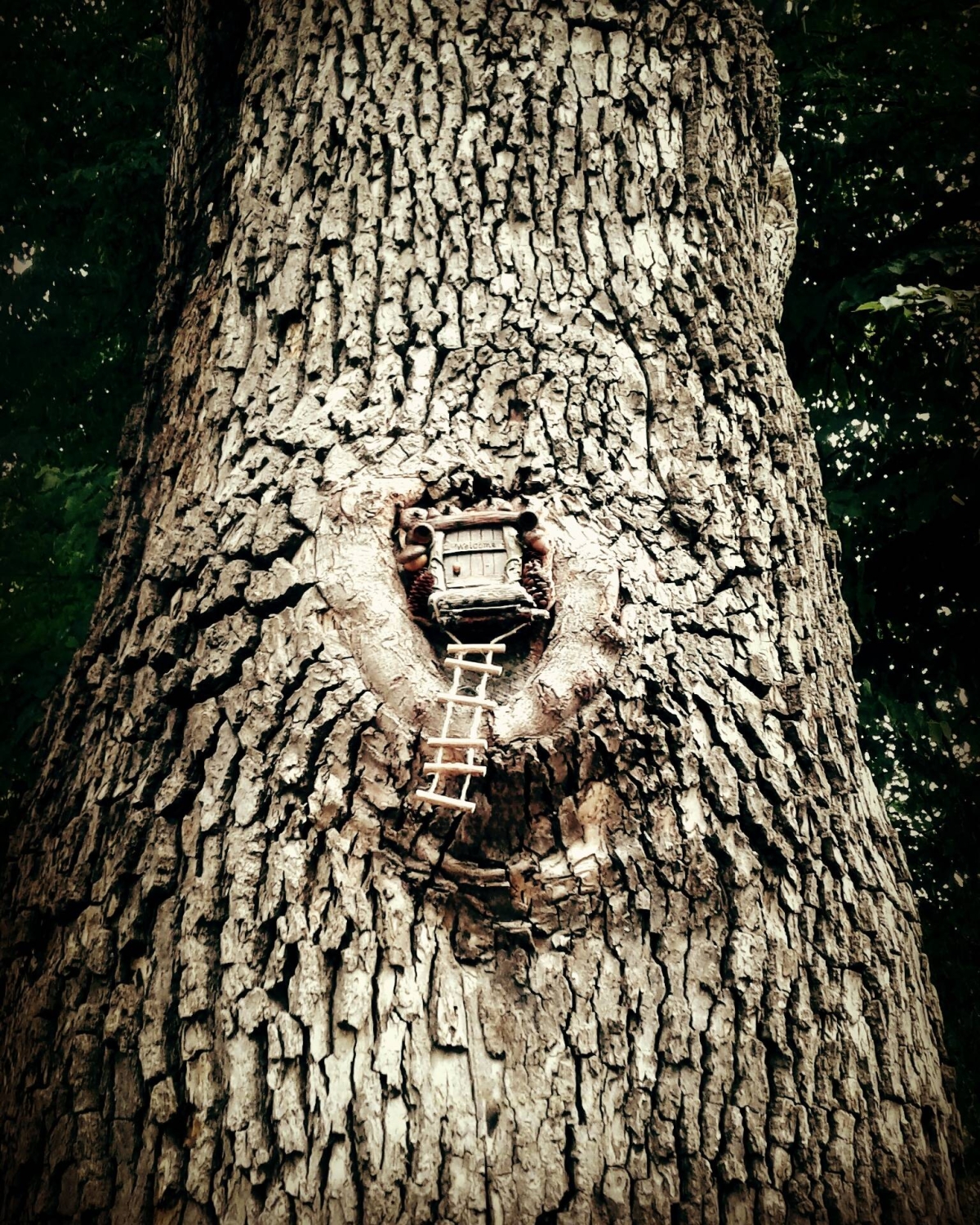 randompics2086_062 randompics2086_062