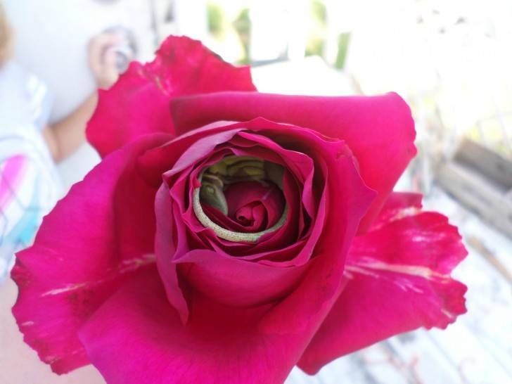 randompics2087_079