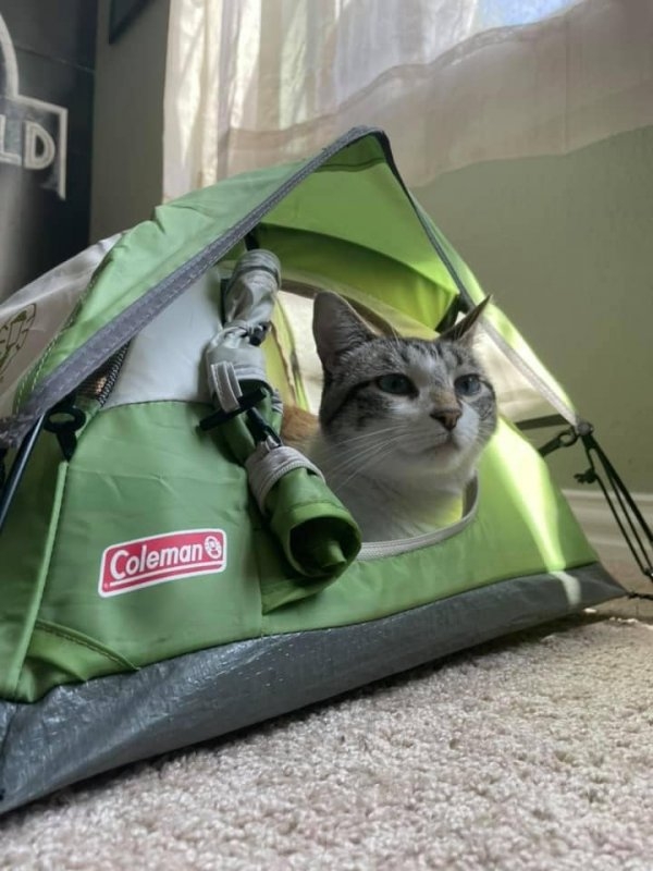 randompics2100_005 randompics2100_005