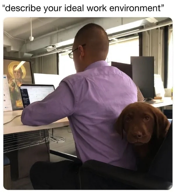 workmemes56_007
