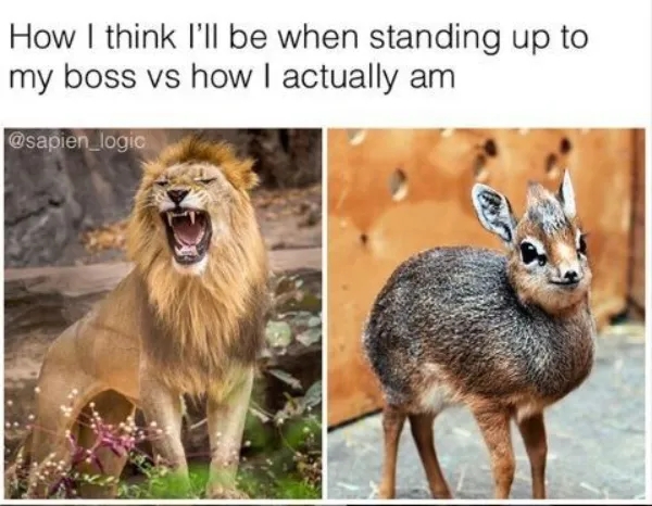 workmemes56_019