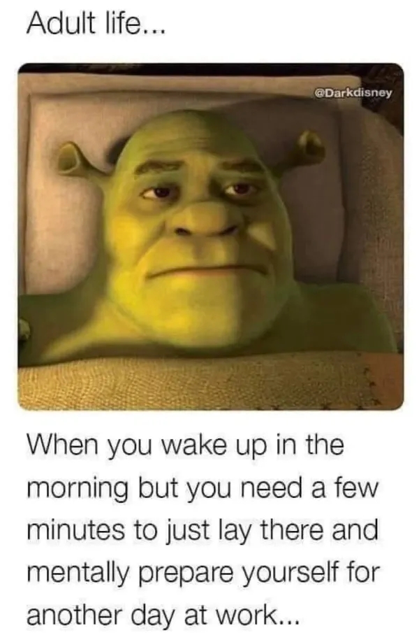 workmemes56_039