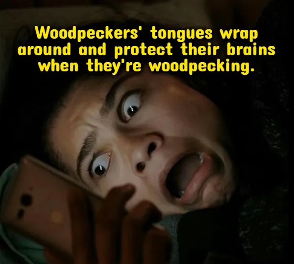 deepthoughts63_019