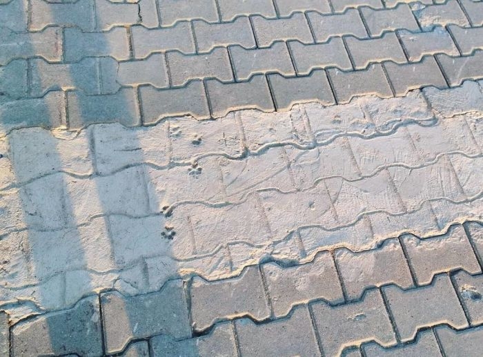engineerfails47_028