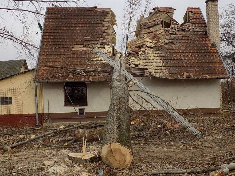 failz378_040