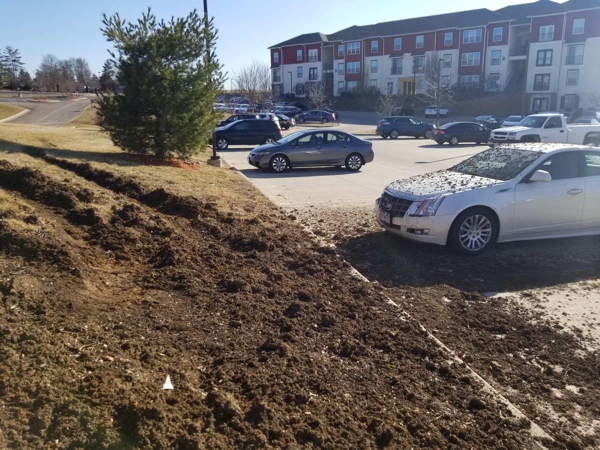 failz379_011