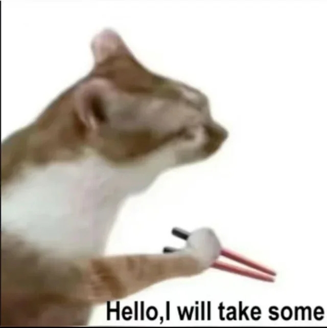 funnycats120_018