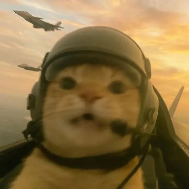 funnycats120_026
