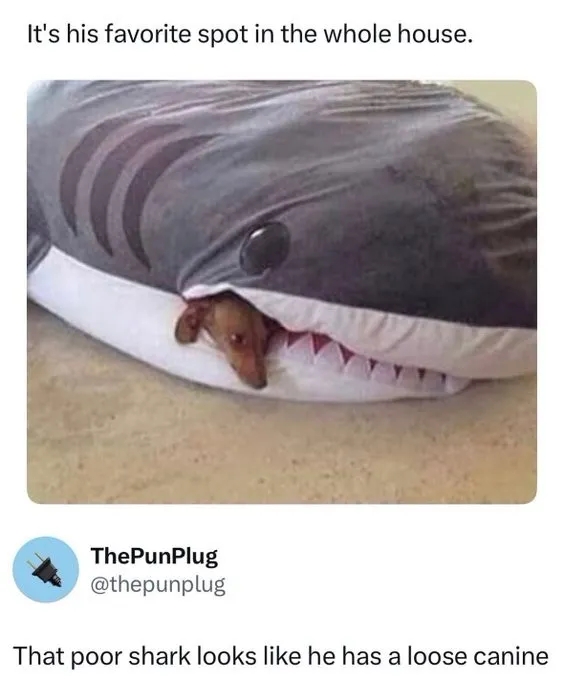 funnymemes543_019