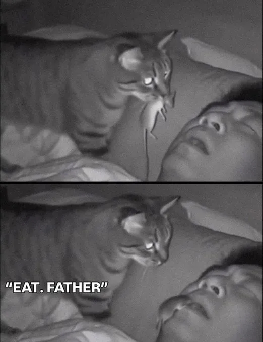 funnymemes543_021
