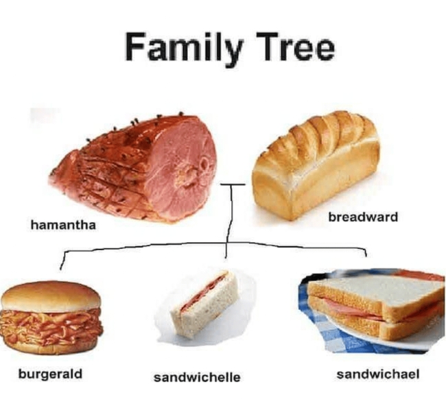 funnymemes543_023