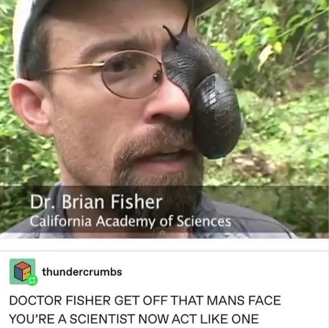 funnymemes544_008