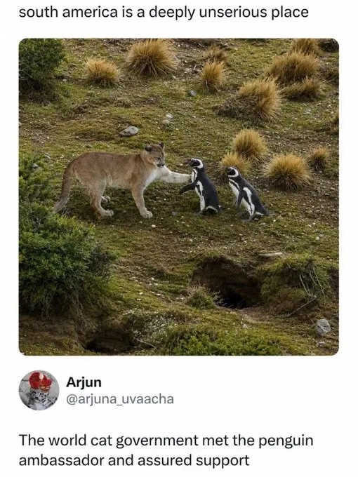 funnymemes544_017