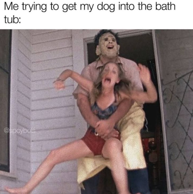funnymemes545_038