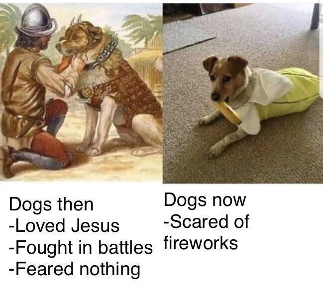 funnymemes546_017