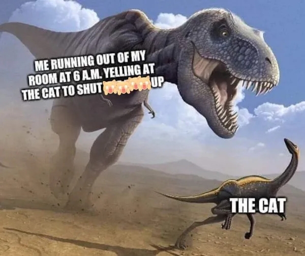 funnymemes548_001
