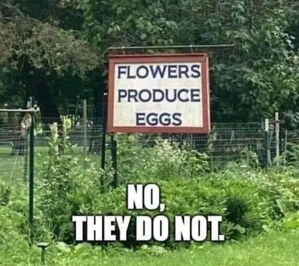 funnymemes548_004