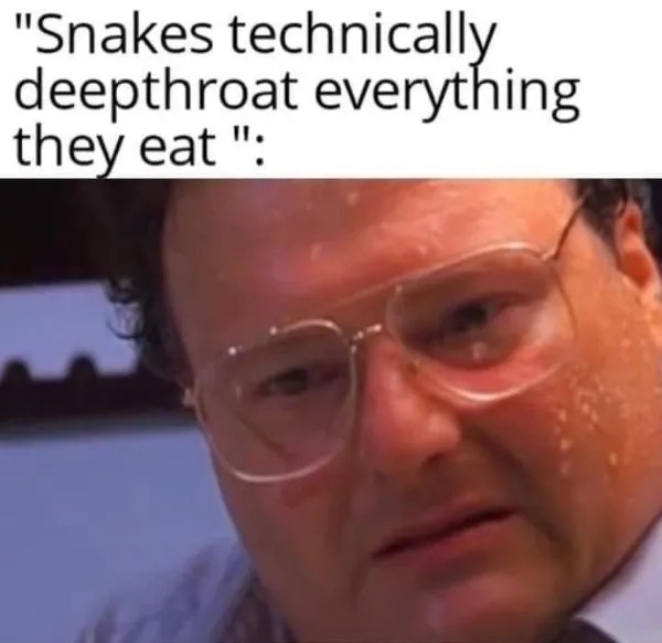 funnymemes548_011