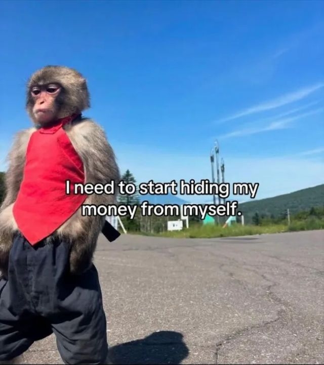 funnymemes548_033