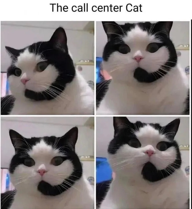 funnymemes549_013