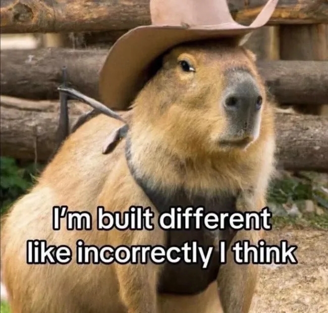 funnymemes549_014