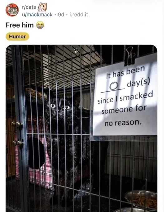 funnymemes549_019