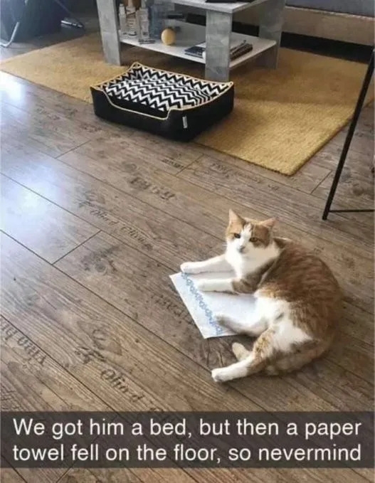 funnymemes549_021