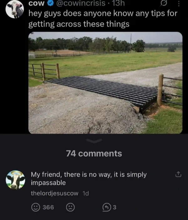 funnymemes549_034
