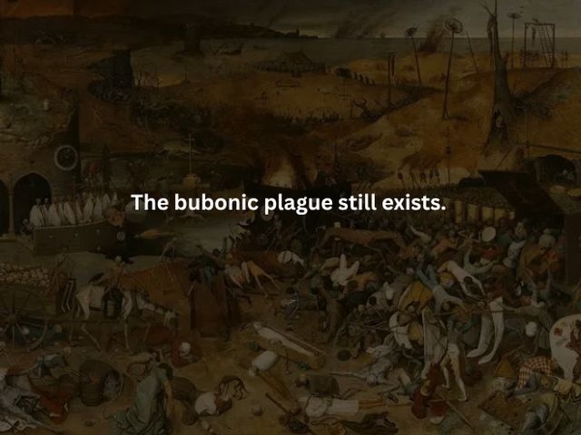 interestingfacts375_001