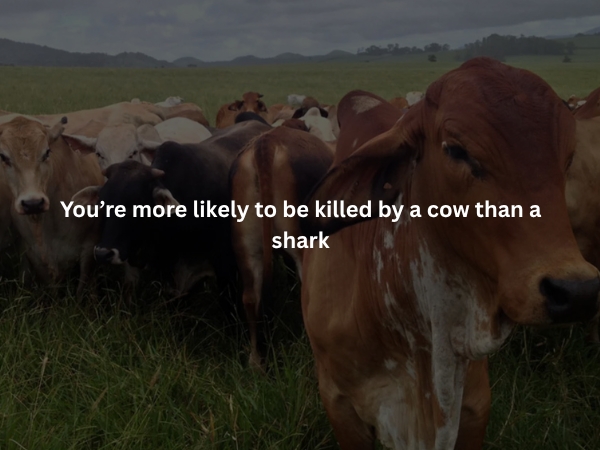 interestingfacts375_006