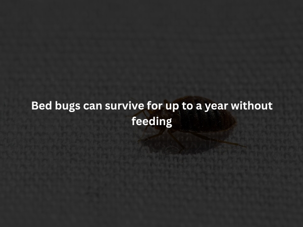 interestingfacts375_007