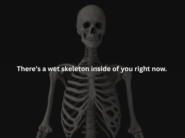 interestingfacts375_008