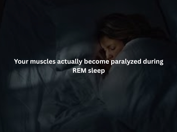interestingfacts375_009