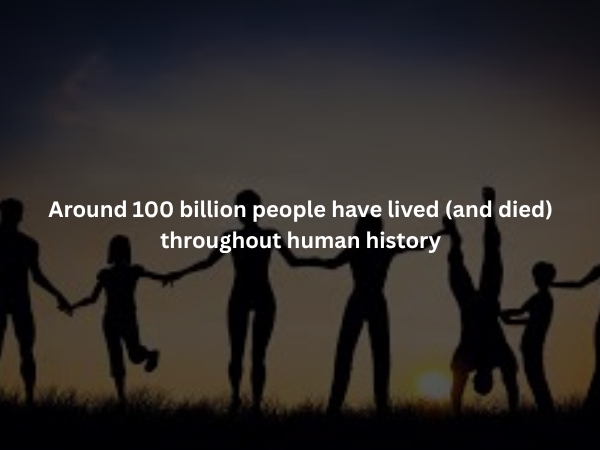 interestingfacts375_013